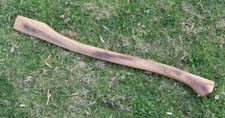 HICKORY 32