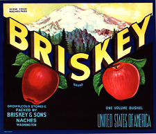 25 Vintage BRISKEY Brand Apple Fruit Crate Labels Naches, Washington picture