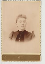 Cabinet Card of a Lady 1890 era from the studio of Cramer Photo - Carbondale PA picture
