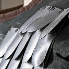 Medieval Style 100 Pcs Loose Round Scale Armor Plate 20G Steel SCA LARP Cosplay picture