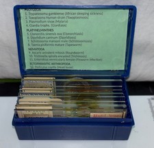 PARASITE Microscope Slide Set DEADLY DISEASE Insect WHOLE MOUNT Helminth Worm picture