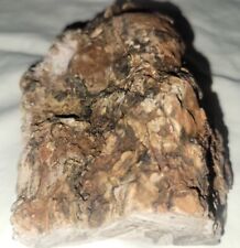 Rare Natural Petrified Wood Bark Specimen Arizona Mine Old Stock 4x5x2.5in picture