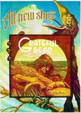 1973 Grateful Dead Wake of the Flood Album Promo Metal Fridge Magnet 2.7x4 8425 picture