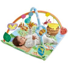 TAKARA TOMY Disney Winnie the Pooh Gym transformed into House for baby Japan F/S picture