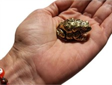 Bufo alvarius Sonoran Desert Toad Alter Piece ~ brass/small BUFO MEDICINE picture