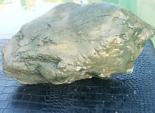 Super Large Piece Of Natural Blue Agatized Petrified Wood picture