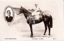 Tangalooma QLD Australia Horse Racing RPPC Photo Postcard COPY picture