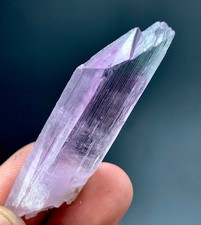 91 CTs Natural Bicolor Kunzite Crystal specimen from Afghanistan picture