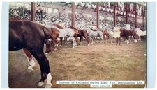 c1910's Interior Of Coliseum State Fair Indianapolis Indiana IN Antique Postcard picture