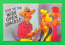 VINTAGE HUMOR / RISQUE COMIC POSTCARD picture