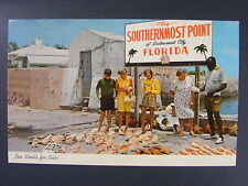 Sea Shells Southernmost Point City Florida FL Postcard c1960's-70's picture