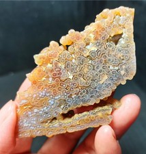 Rare 50g Natural Polished Orbicular Ocean Jasper Reiki Healing  WYY4135 picture