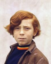 Danny Bonaduce The Partridge Family 24x36 inch Poster picture