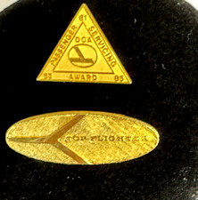 (2) VTG. Eastern Airlines GoldTone Service Awards Pins: DCA Award & Topflighter picture