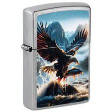 Zippo Catch of the Day Design Street Chrome Color Image 47188 picture