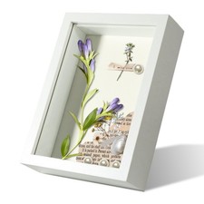 5x7 White Shadow Box Frame Display Case picture