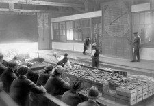 Netherlands Den Haag Loosduinen auction hall over a channel auctio- Old Photo picture