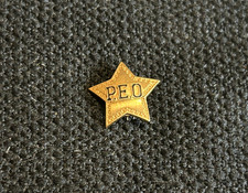 NICE PEO Sisterhood star-shaped member pin / badge, GF,