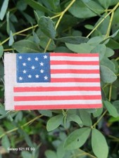 Old antique 13 Star Medallion US Parade Folk Art Early Flag Centennial 1876 picture