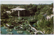 San Antonio Texas, Chinese Sunken Gardens Brackenridge Park, Vintage Postcard B1 picture