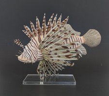 Nature Crafts Butterfly Fin Lionfish Sculpture Hand Carved Hand Painted Wood picture