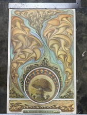 Magic Mushroom Vintage Poster 1970 Frank Kay Artist Psychedelics Head Shop  picture