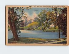 Postcard View in Glen Flora Country Club Waukegan Illinois USA picture