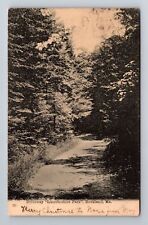 Rockland ME-Maine, Driveway, Lincolnshire Park, Antique, Vintage c1905 Postcard picture
