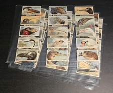 1929 John Player & Sons Curious Beaks Complete 50 Card Bird Set (Mid Grade) picture
