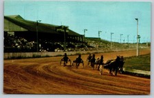 Vintage Charlottetown PEI Horse Racing Old Home Week Postcard picture