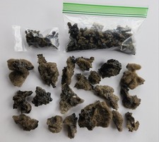 VOLCANIC TEPHRA, KILAUEA VOLCANO 2026 HAWAII  picture
