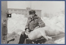 Man slaughtering a boar, vintage photo Strange photo. Guy and Dead Pig picture