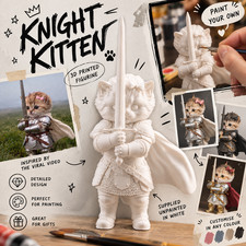 Viral Cute Knight Kitten picture