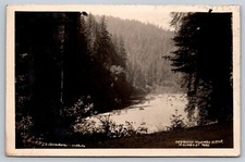 RPPC Redwood Highway Humboldt Park California Postcard picture