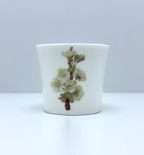 Vintage Queen's China Egg Cup Royal Horticultural Society Hooker's Fruit England picture