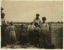 Browns Mills NJ 1910 Cranberry Harvest Schoolchildren Rosie Whites Bog picture
