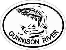 4x3 Oval Trout Gunnison River Sticker Luggage Car Cup Colorado Fishing Stickers picture