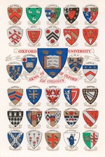 Oxford University Colleges Poster 🏰 - 16x24” Premium Matte Paper 200gsm 🎓 picture