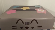 CultureFly Pusheen Gray Box Winter 2020, Size Medium New But Missing Plates picture