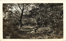 PC FOREST ROAD WIMBLEDON COMMON SURREY ENGLAND VINTAGE REAL PHOTO PC (u1645) picture