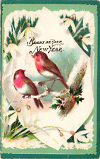 1907 Bright Be Your New Year Winter Birds Embossed Postcard picture