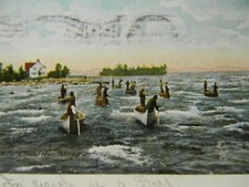 Vintage UDB 1905 Indians Fishing on Soo Rapids Sault Ste Marie Mi. Postcard P22 picture