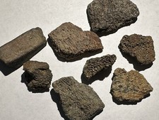 GENUINE DINOSAUR BONE FRAGMENT SPECIMEN IN THE ROUGH AUTHENTIC COLLECTORS GIFT picture