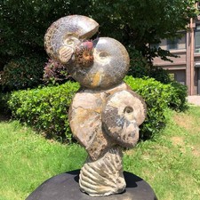 19.16LB Natural Beautiful Ammonite Fossil Conch Crystal Specimen Healing 6279 picture