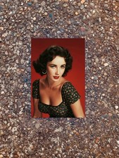 Elizabeth Taylor Vintage Floral Dress Red Background 4x6 Photo Lustre Print picture