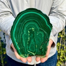 1.62LB Natural malachite slice quartz crystal luster mineral specimen picture