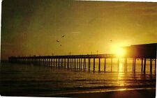 Vintage Postcard- FISHING PIER, TIDEWATER AREA 1960s picture