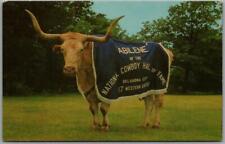 Vintage 1960s COWBOY HALL OF FAME Postcard Mascot, ABILENE Texas Longhorn Steer picture