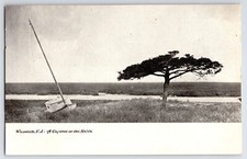 [4i4] Postcard Unused Undivided Back, Wildwood NJ, A Glimpse of the Sound picture