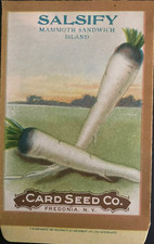 1908 Salsify Mammoth Sandwich Island Seed Packet - Card Seed Co. Fredonia, N.Y. picture